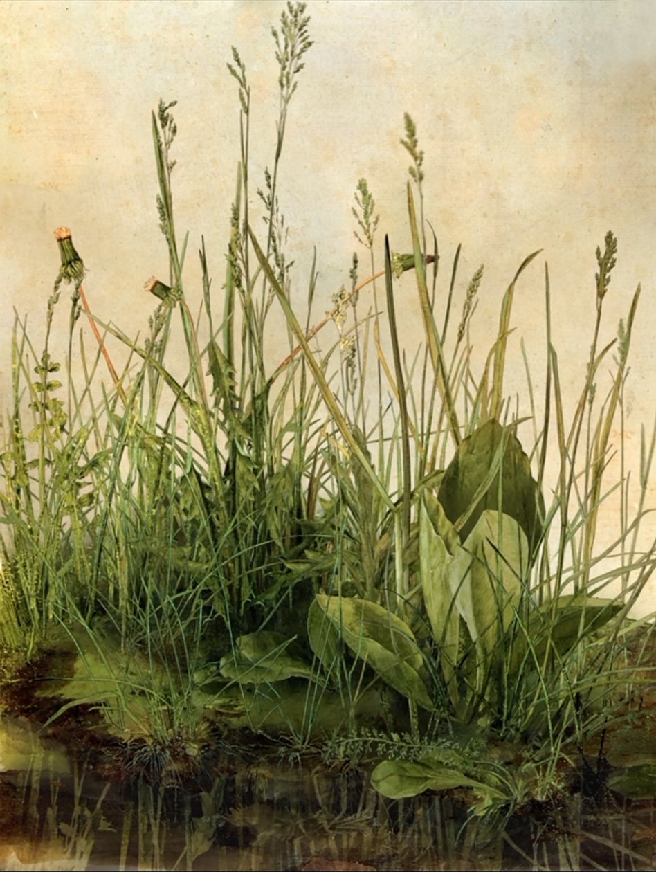 Whispering Weeds, 2011 (fakeret, szegély, LCD képernyő, ventilátor és merevlemez) alkotó: Mat Collishaw