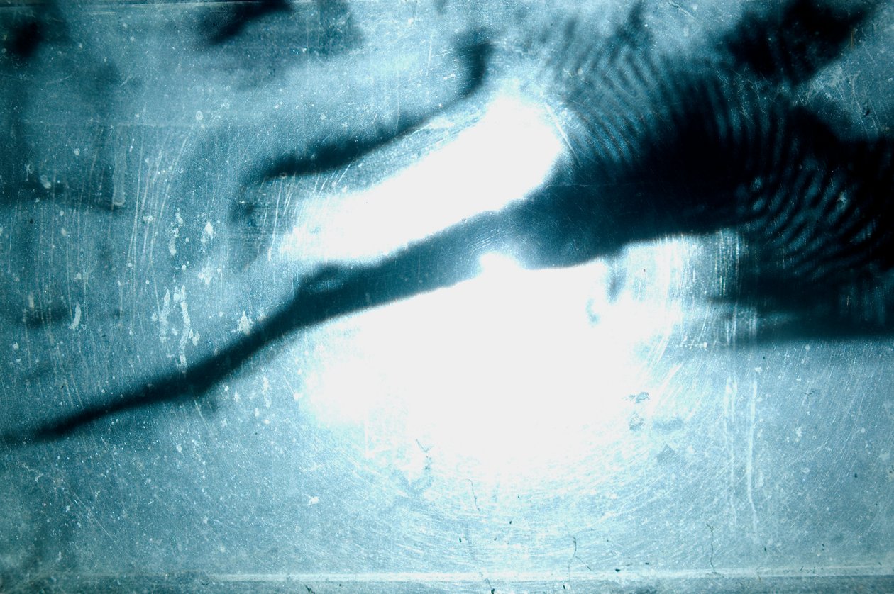 Giliszta, 2009 (fa, üveg, acél, projektor és lejátszó) alkotó: Mat Collishaw