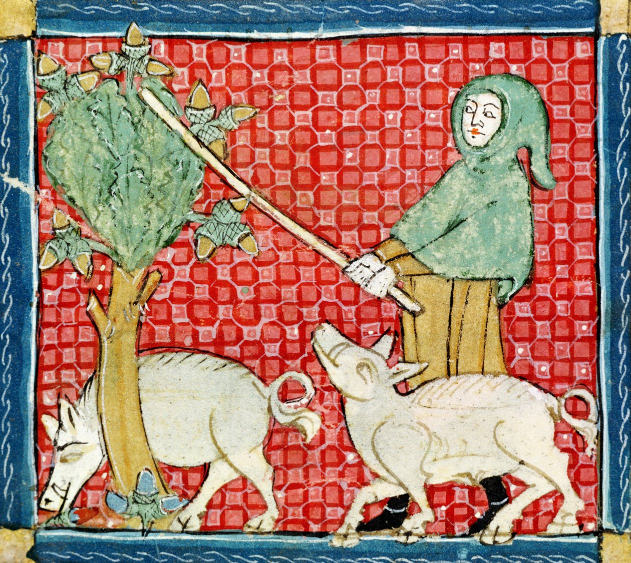 Fol.59v november: Makkok gyűjtése alkotó: Matfre Ermengaut