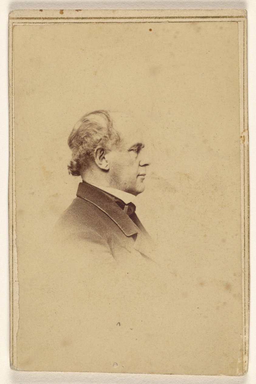[Azonosítatlan férfi profilból, vignettastílusban nyomtatva] alkotó: Mathew B. Brady