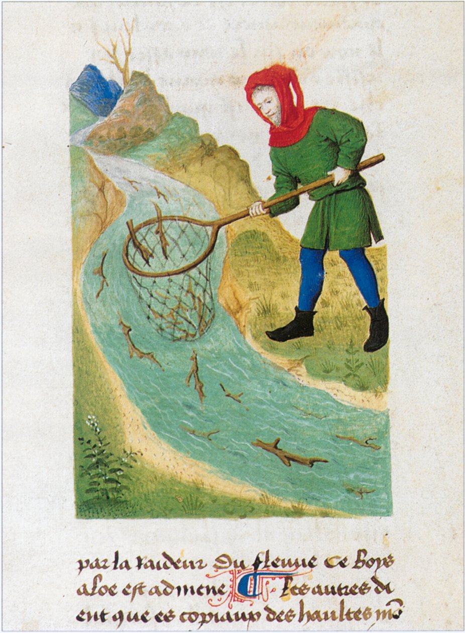 Le Livre des simples medecines - Matthaeus Platearius 12. századi latin nyelvű kéziratának francia fordítása (pergamen). alkotó: Matthaeus Platearius