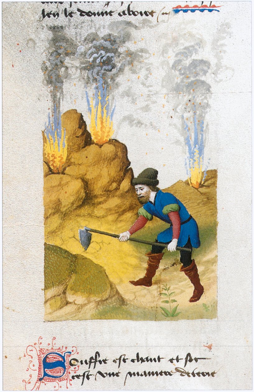  alkotó: Matthaeus Platearius