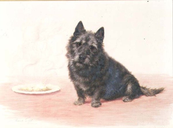 Vacsoraidő - egy skót terrier ül a tányér mellett alkotó: Maud Earl