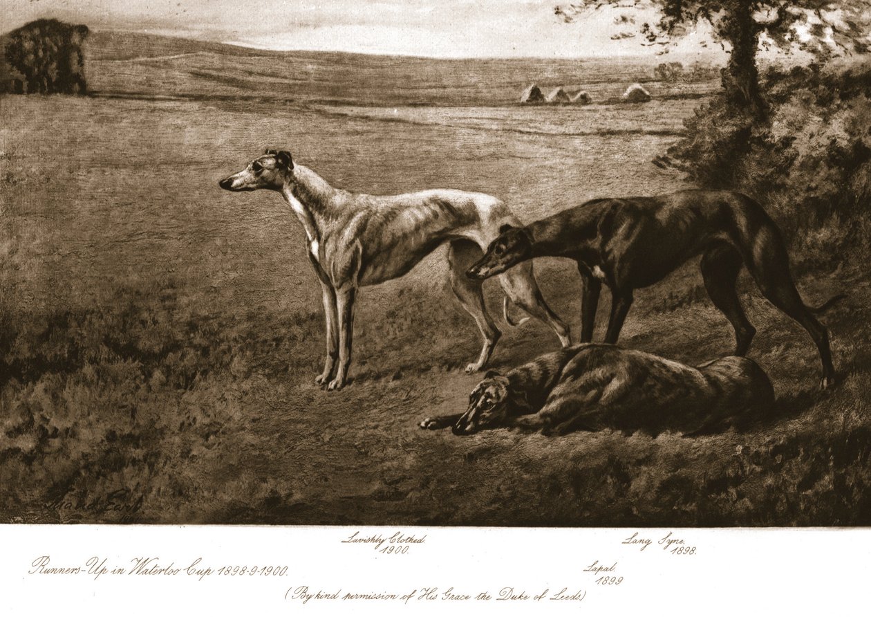 A Leedsi herceg kopói, 1911. alkotó: Maud Earl