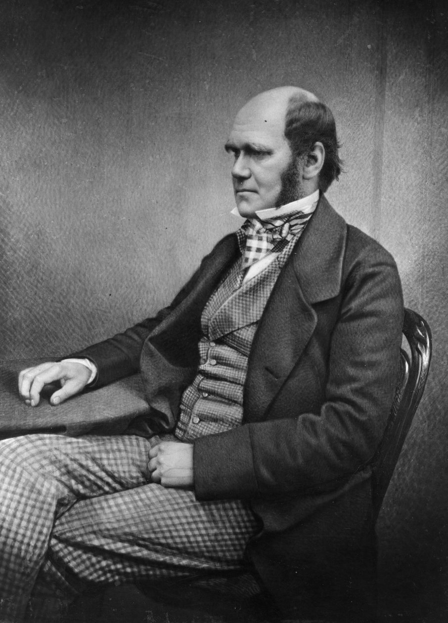 Charles Darwin alkotó: Maull and Fox