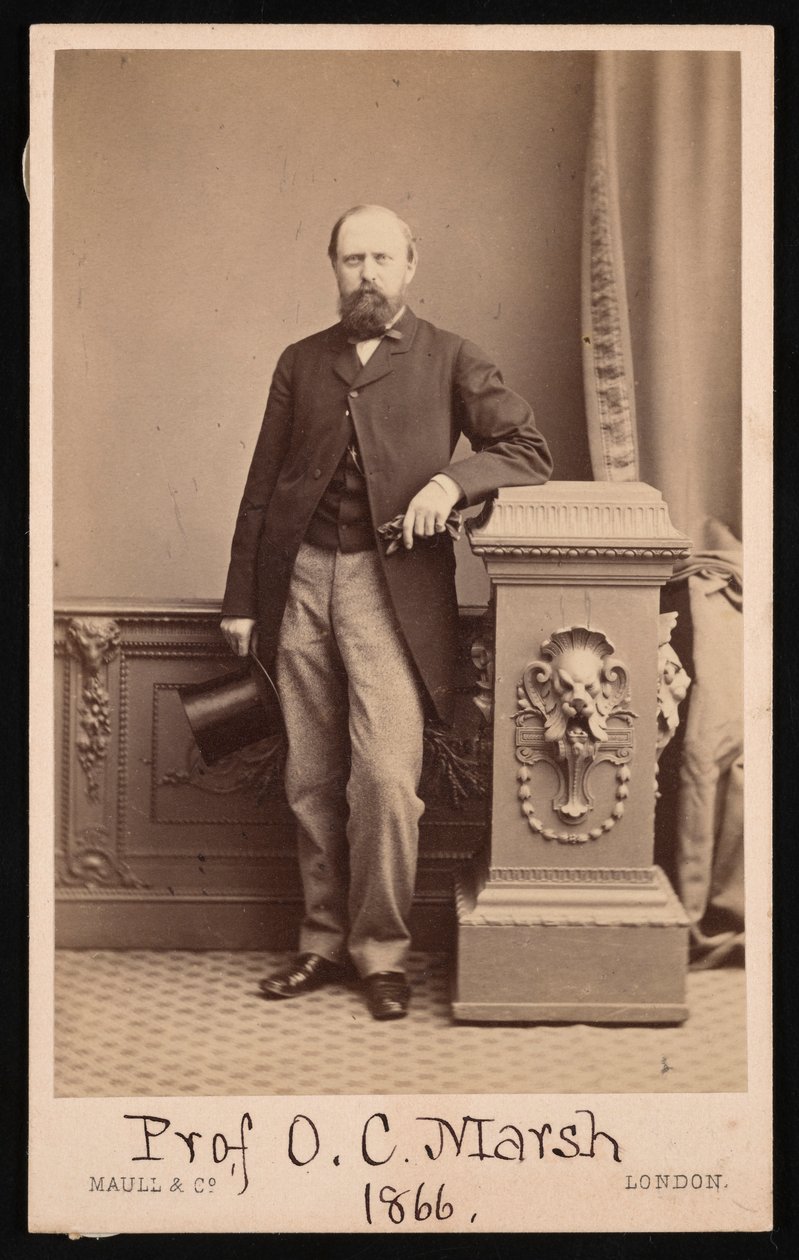 Othniel Charles Marsh portréja 1831-1879, 1866. alkotó: Maull and Co