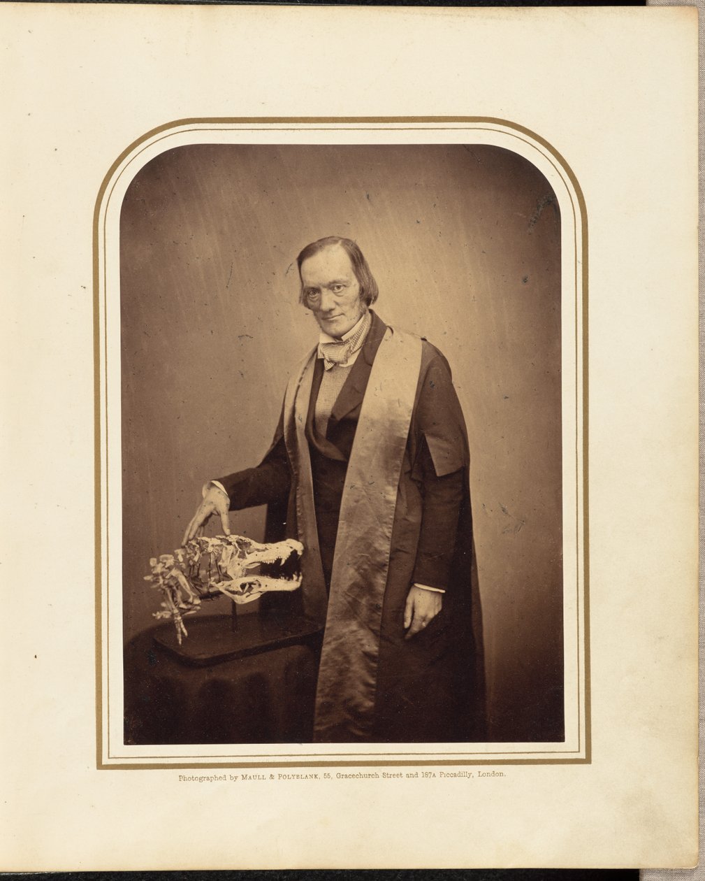 Owen professzor, F.R.S. alkotó: Maull and Polyblank