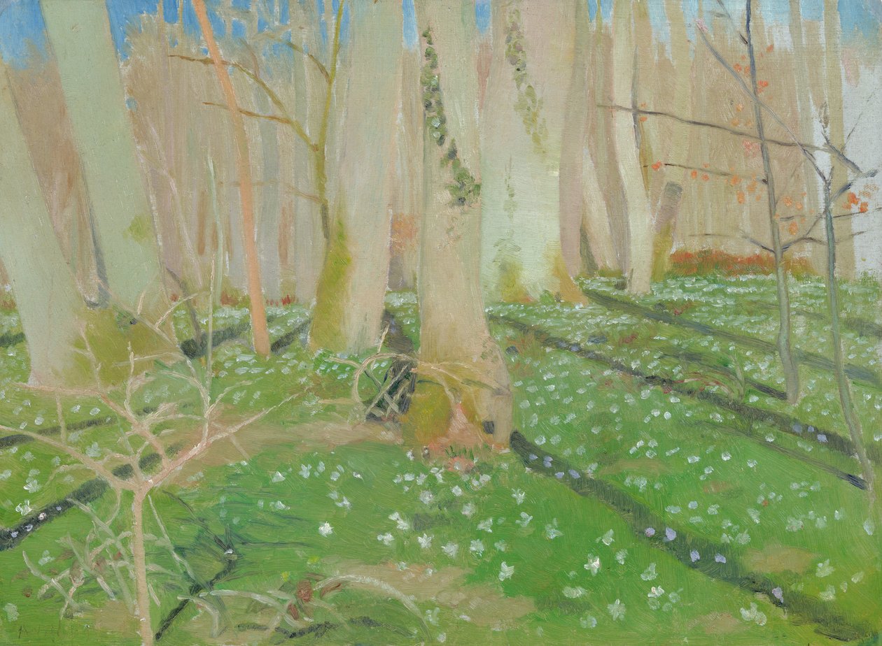 Erdő anemóniákkal, 1889 (olaj a kártyán) alkotó: Maurice Denis