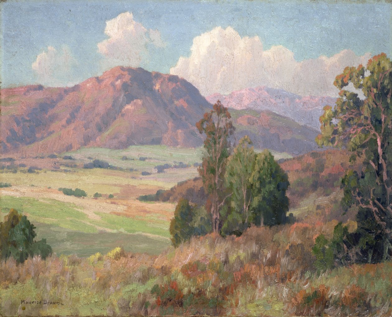 San Diego Hills (olaj, vászon) alkotó: Maurice Braun
