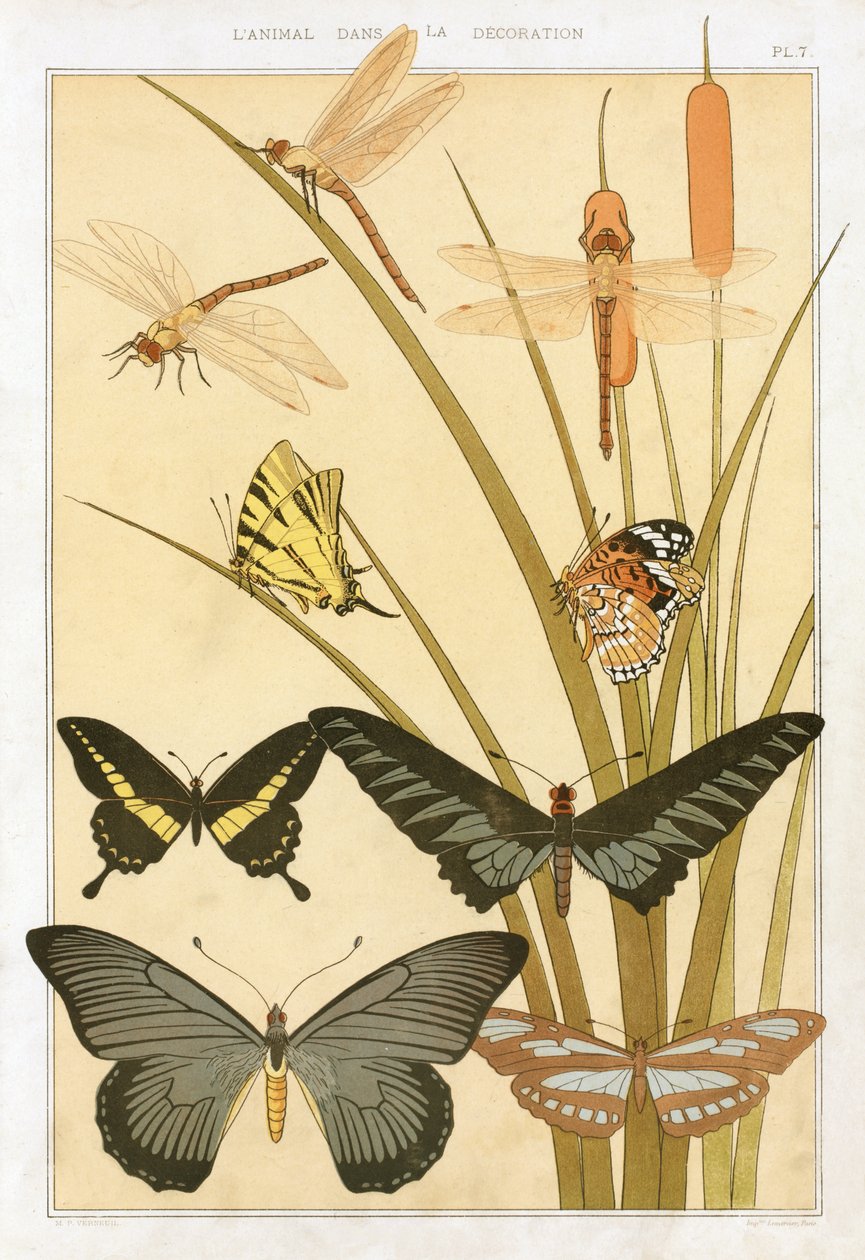 Pillangók, Maurice Pillard Verneuil „L