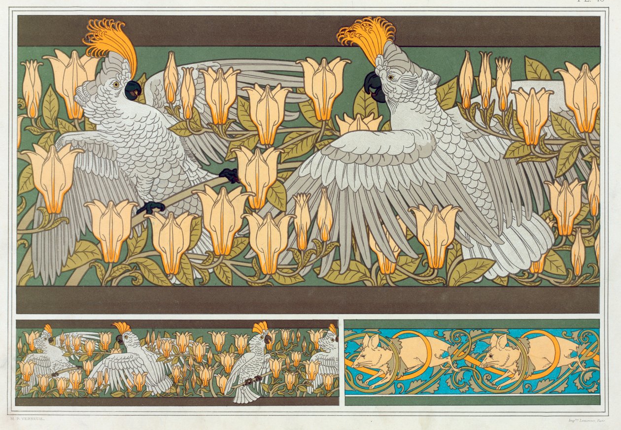 Design tapéta szegély Cockatoo és Magnolia, pub. 1897. alkotó: Maurice Pillard Verneuil