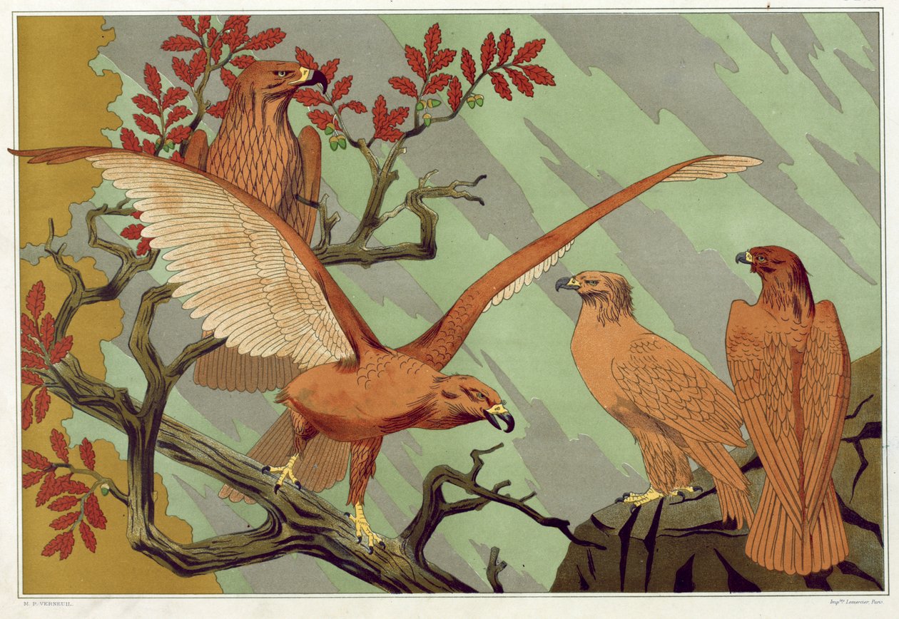 Eagles, Maurice Pillard Verneuil „The Animal in the Decoration” című művéből, pub. 1897 (színes litográfia) alkotó: Maurice Pillard Verneuil