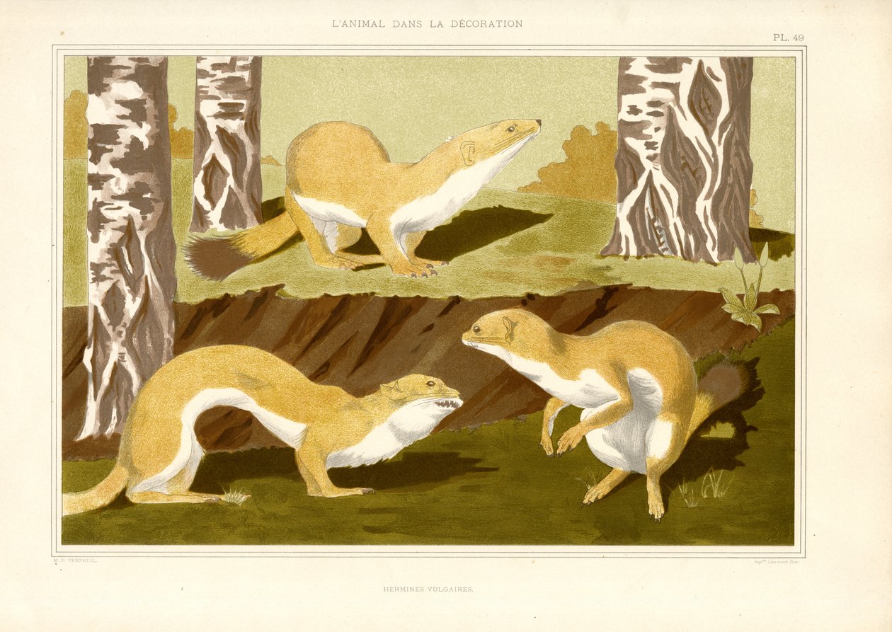  alkotó: Maurice Pillard Verneuil