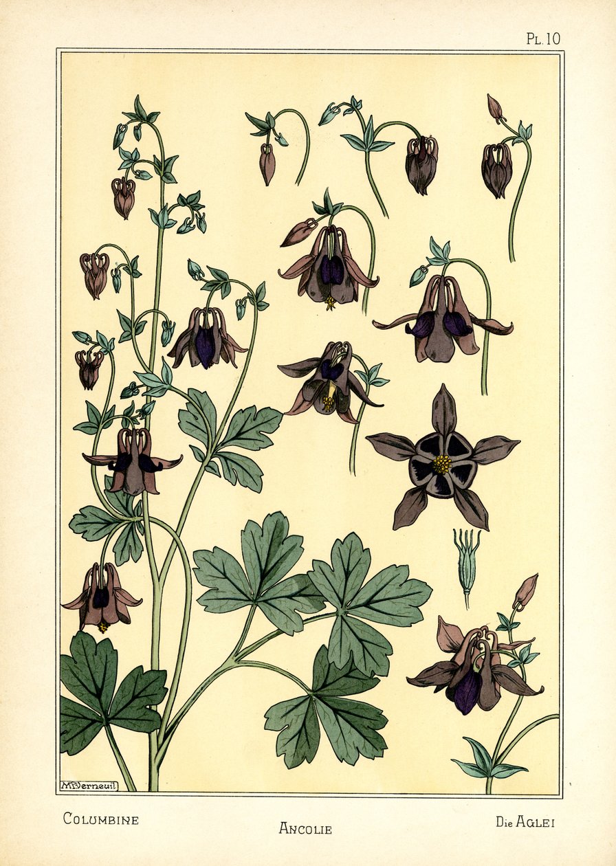 Columbine (színes litó) alkotó: Maurice Pillard Verneuil