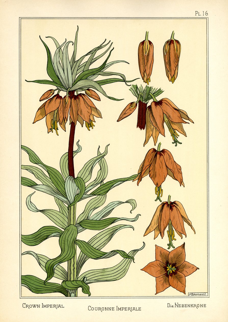 The Crown Imperial (színes litó) alkotó: Maurice Pillard Verneuil