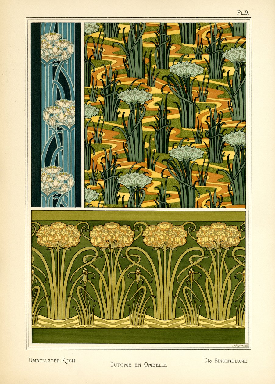 The Umbellated Rush (színes litó) alkotó: Maurice Pillard Verneuil