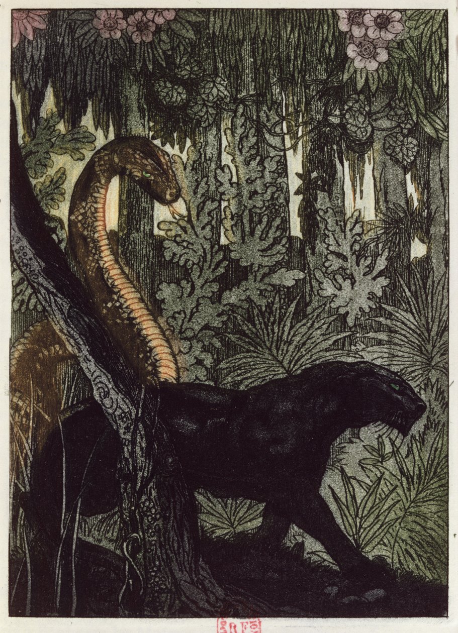 Kaa vadászata, illusztráció Rudyard Kipling (1865-1936) "A dzsungel könyve" című művéből, Párizsban jelent meg, 1930-ban. alkotó: Maurice de Becque
