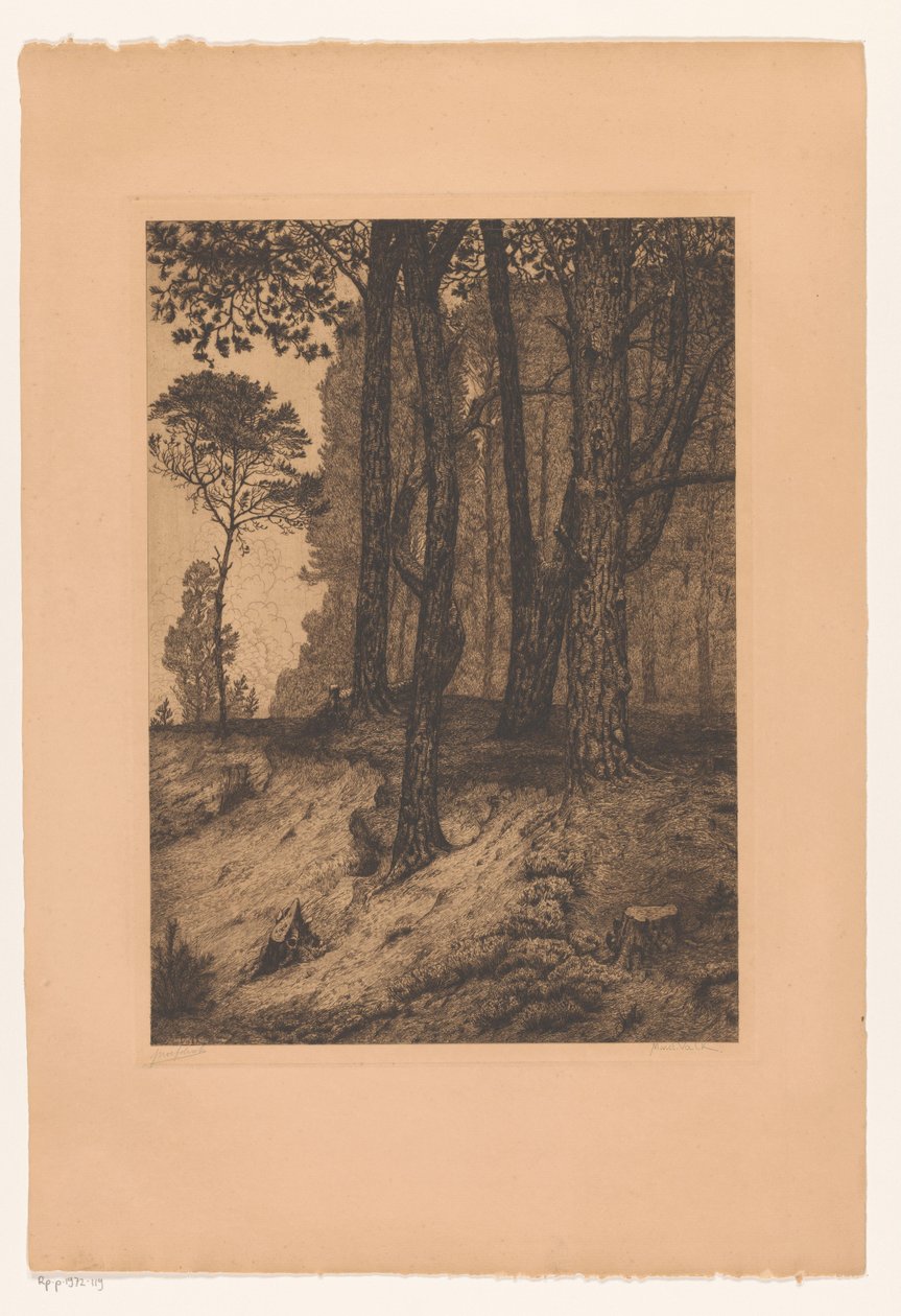 erdő szélén alkotó: Maurits van der Valk (signed by artist)