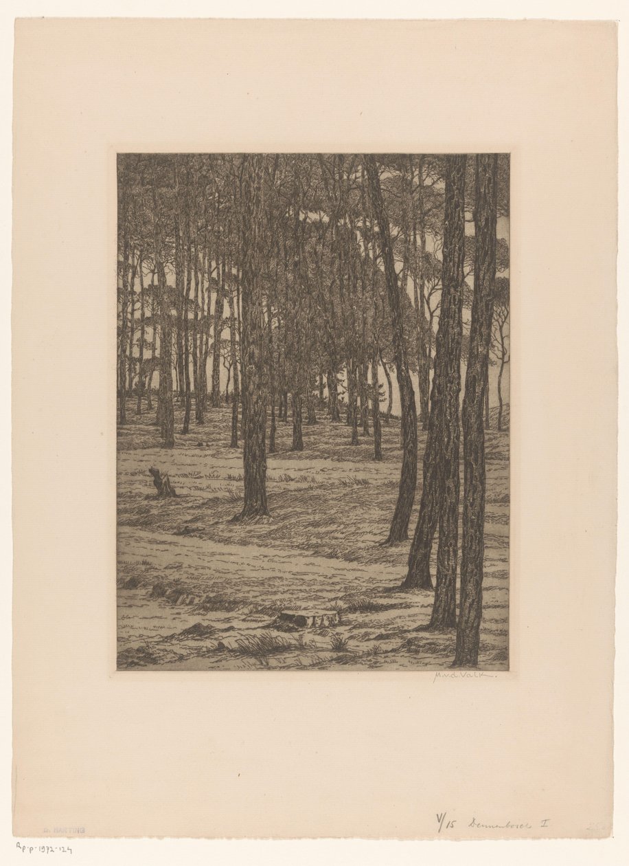 Dennenbosch I (eredeti cím a tárgyon) Bos (eredeti cím) alkotó: Maurits van der Valk (signed by artist)