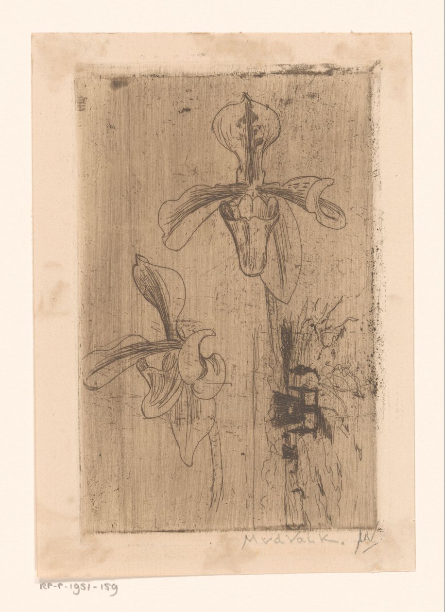 Két orchidea és egy kocsi a tengerparton alkotó: Maurits van der Valk (signed by artist)