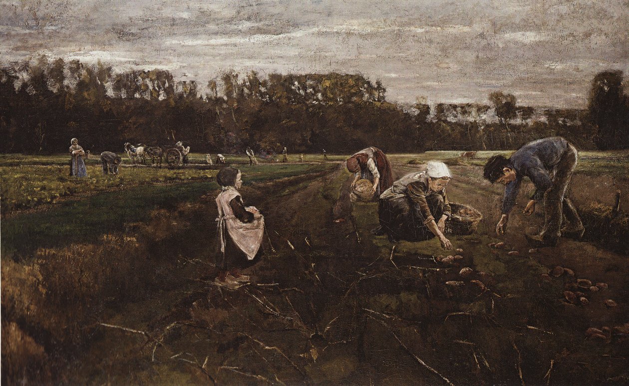 Barbizon burgonya betakarítás alkotó: Max Liebermann