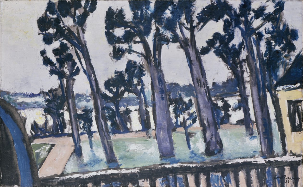 Kilátás a Havelre a Rupenhornról alkotó: Max Beckmann