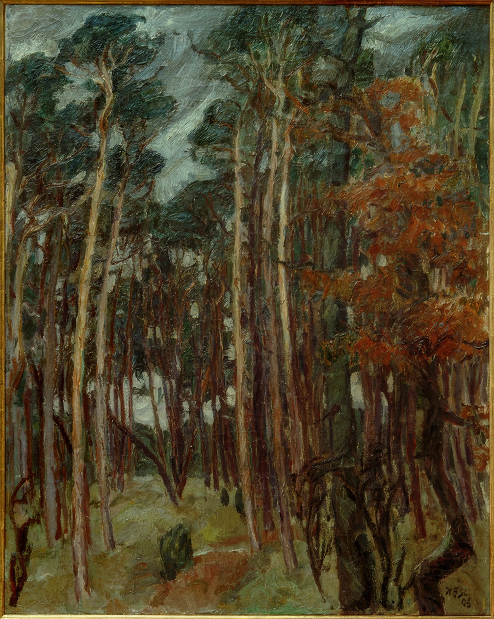 Hermsdorfer Wald egy szürke napon alkotó: Max Beckmann