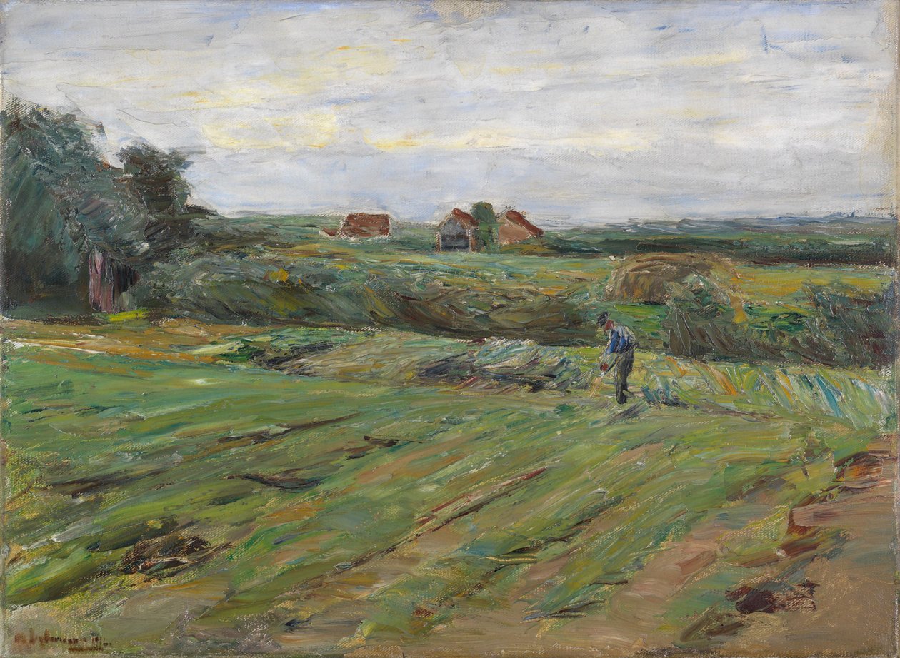 Aratómező alkotó: Max Liebermann