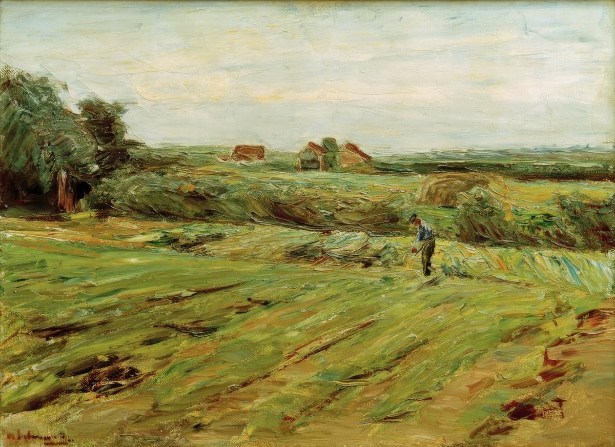 Szüreti mező - káposztaföld (?) alkotó: Max Liebermann