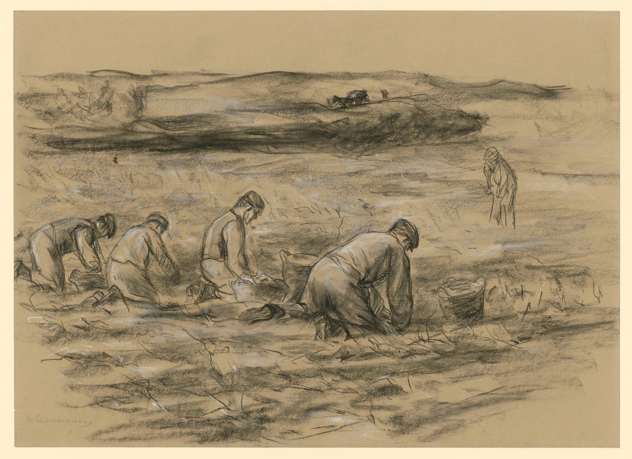 Burgonyás stand Zandvoortban alkotó: Max Liebermann
