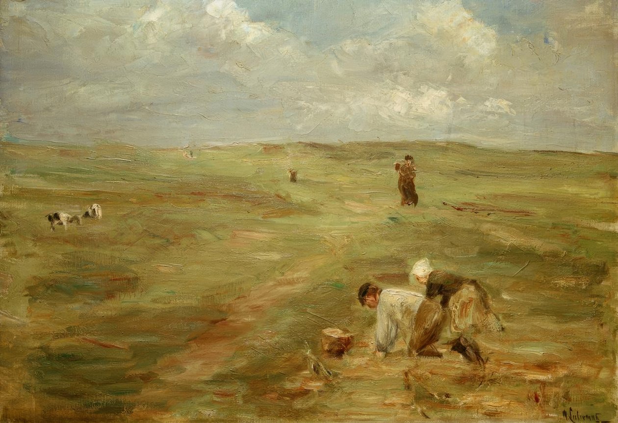 Burgonyaásók Zandvoort dűnéiben alkotó: Max Liebermann