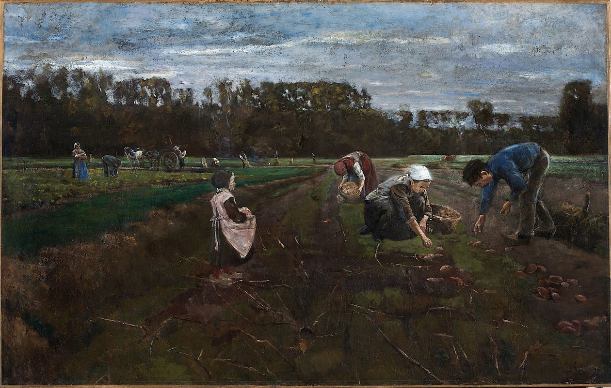 Burgonyaszüret alkotó: Max Liebermann