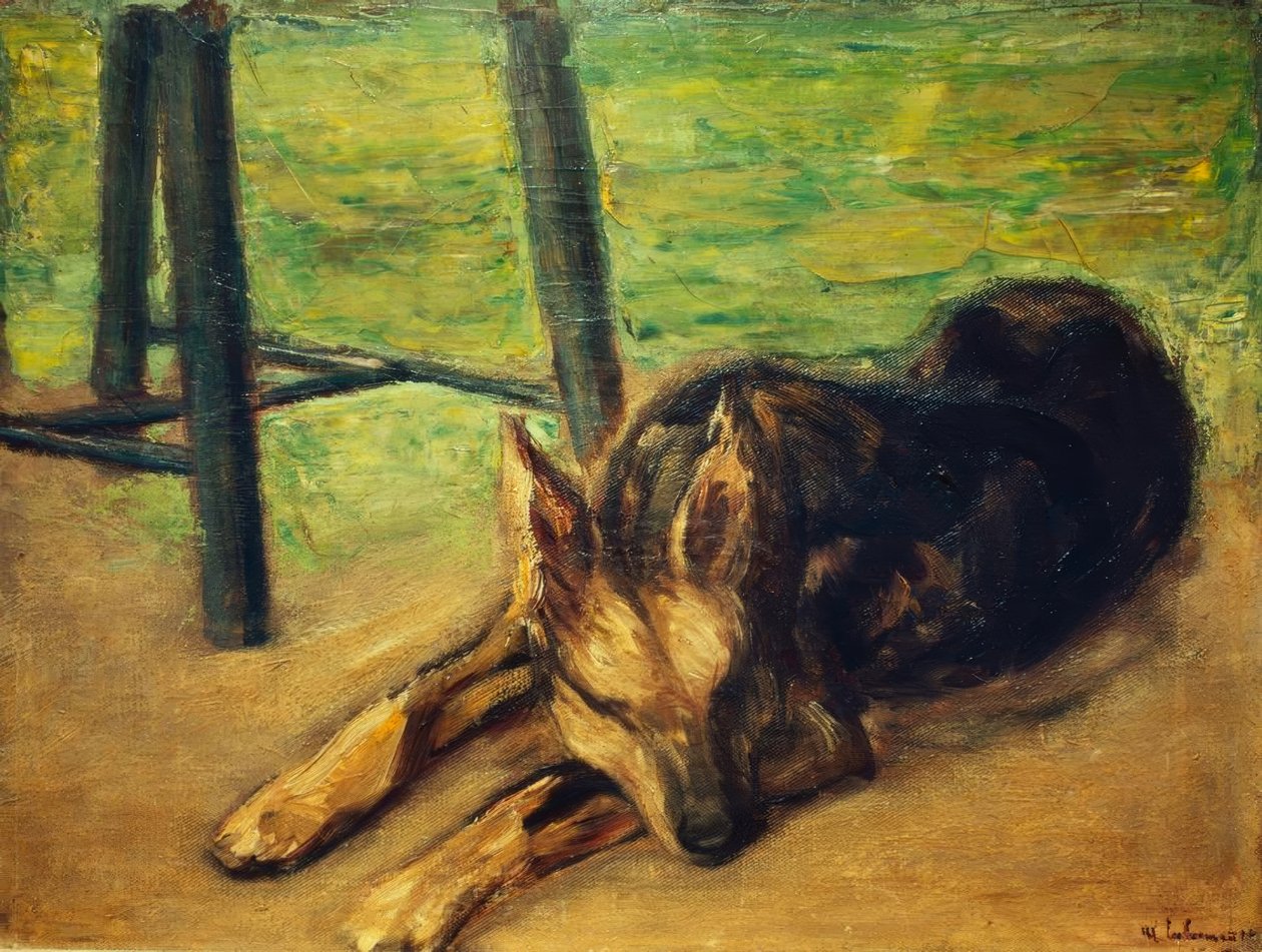 Alvó németjuhász alkotó: Max Liebermann