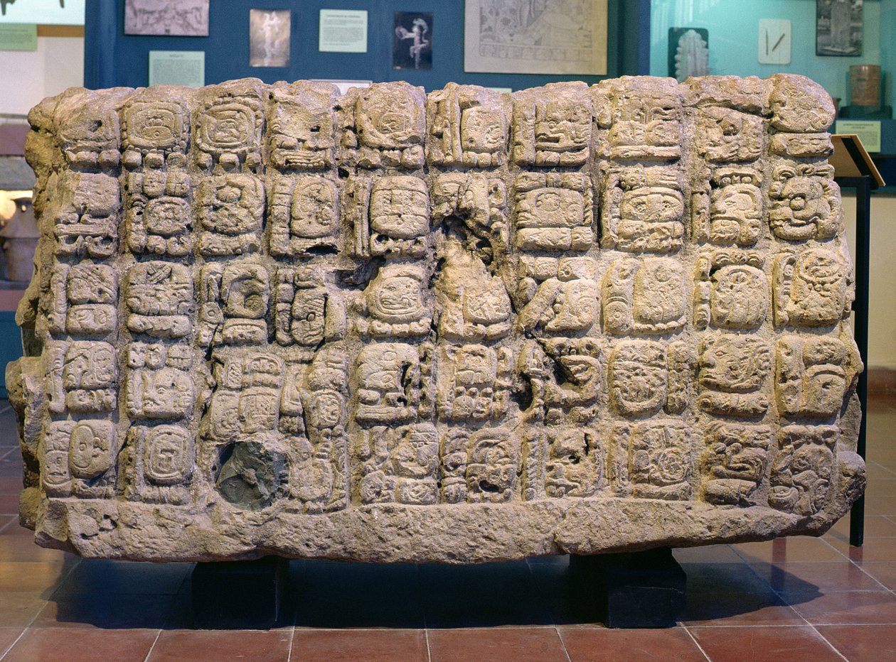 Az U oltár hátulja a Copanból, késői klasszikus korszak (i.sz. 795) alkotó: Mayan