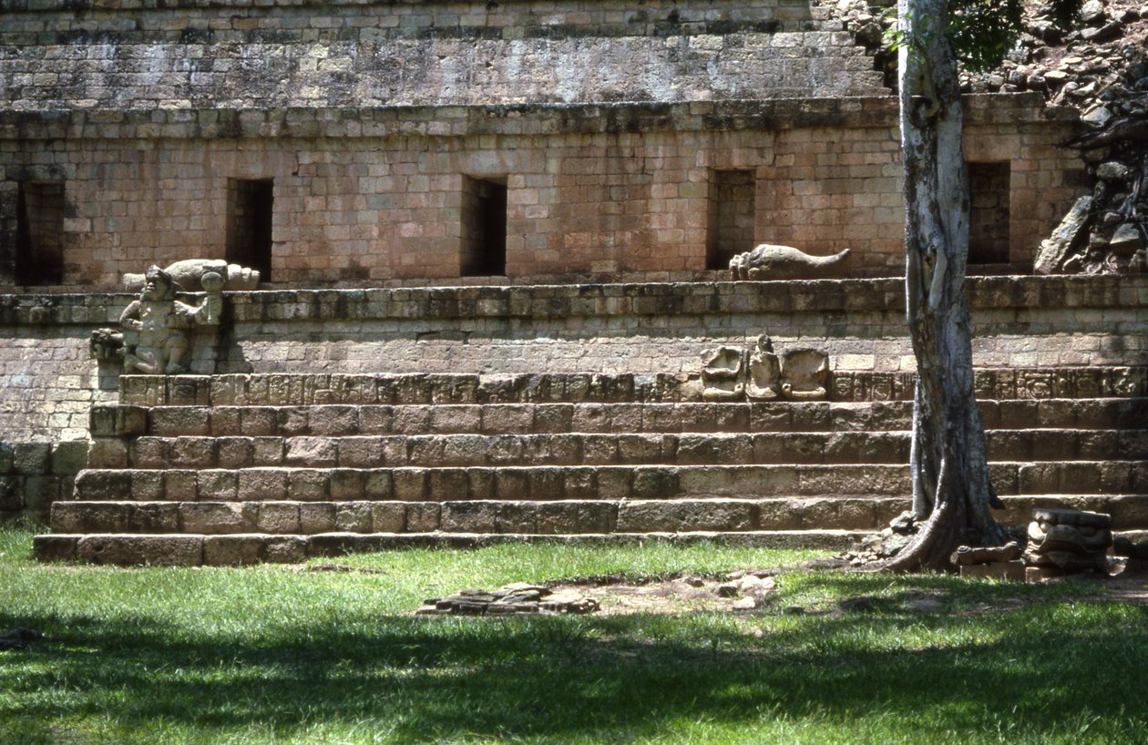 Copan West Court, késői klasszikus időszak, i.sz. 600-900 alkotó: Mayan