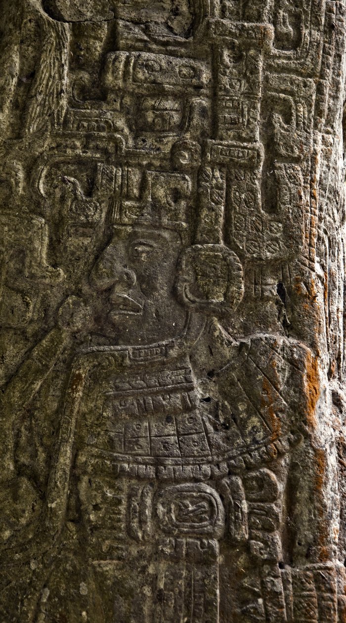 Részlet a 14. sztéléről, amely egy labdajátékost ábrázol egy nem klasszikus maja stílusú, terminális klasszikus kőn. alkotó: Mayan
