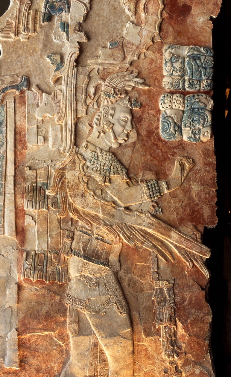 King Pacal Stela 22 (310202 hátulja) alkotó: Mayan