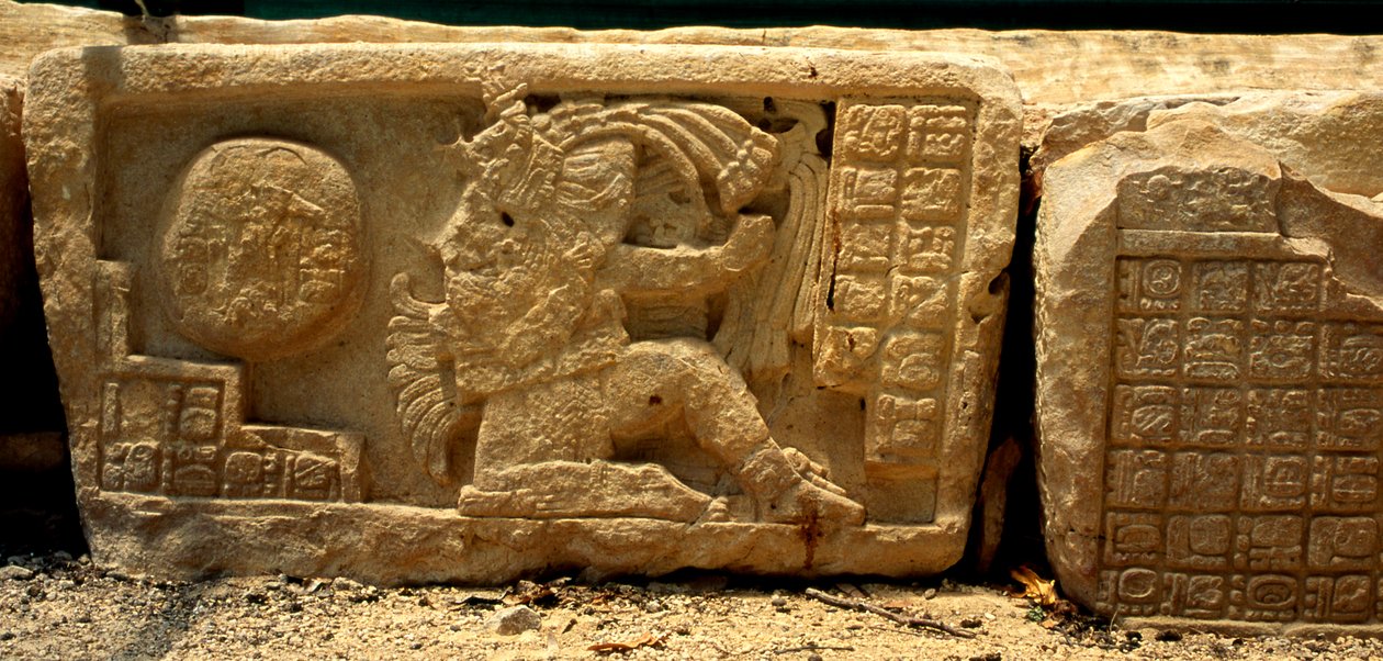 Alacsony dombormű egy labdajátékosról, a labdáról és a leírást adó griffekről, késő klasszikus kor (Kr. u. 700-900). alkotó: Mayan