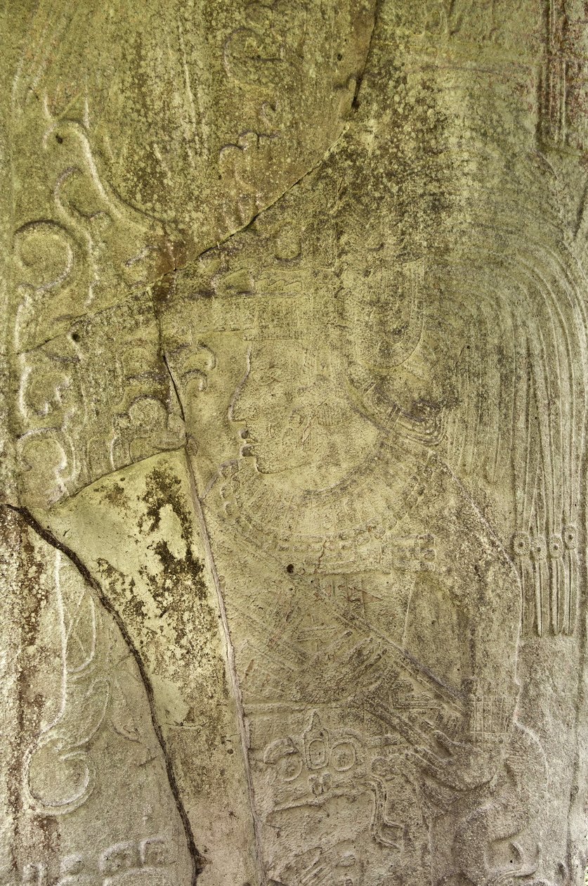 A 9. Stela részlete, amely Ajb’alun Haab’tal Wat’ul K’atelt, a guatemalai Ceibal Terminal Classic Kingjét ábrázolja, a Kr. u. 9. katun végére emlékezve. 849 kő alkotó: Mayan