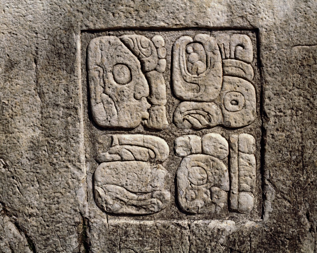 Glifák a C házban, terasz 2 a palotában alkotó: Mayan