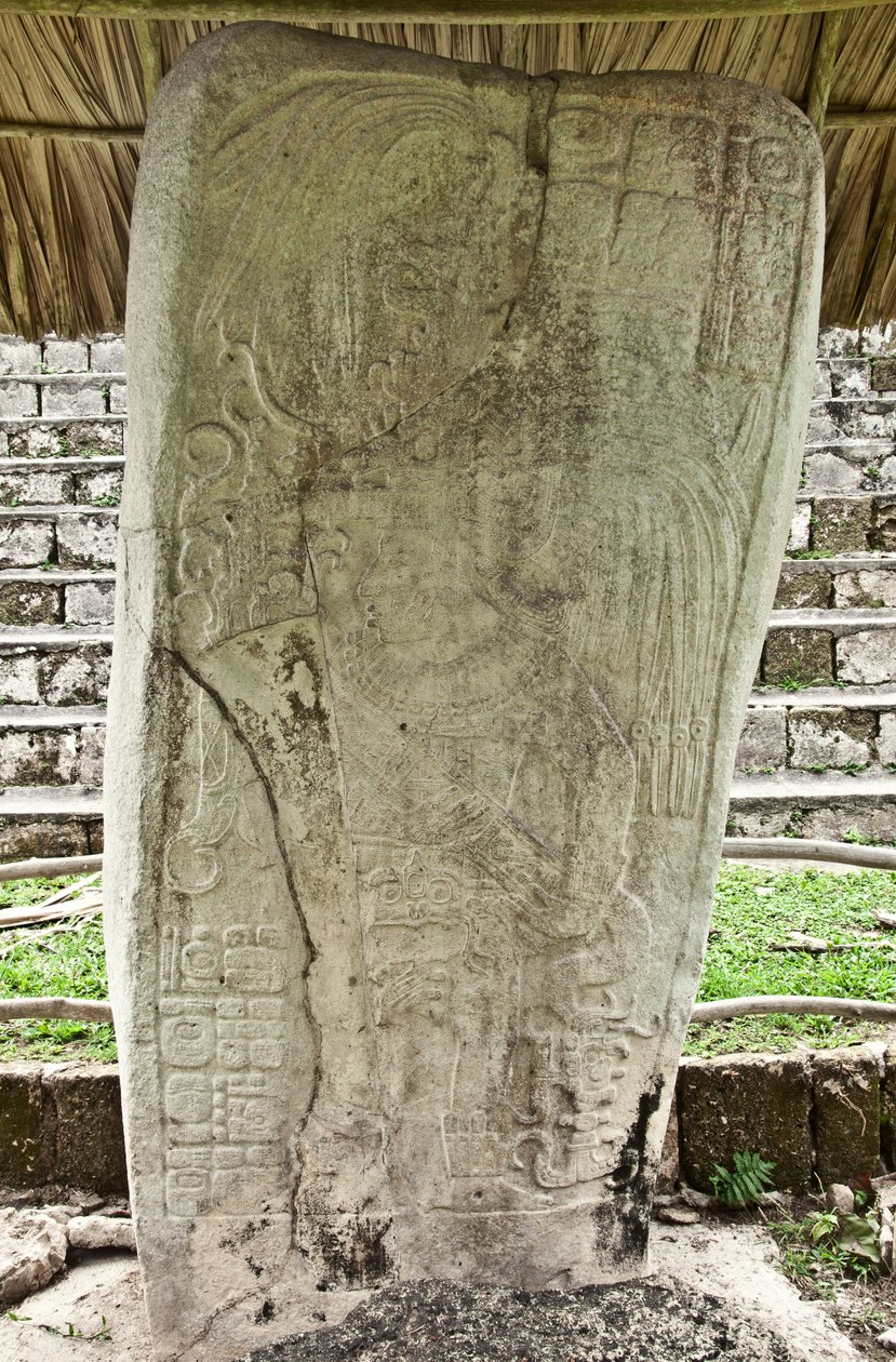 A 9. Stela, amely Ajb’alun Haab’tal Wat’ul K’atelt, a guatemalai Seibal Terminal Classic Kingjét ábrázolja, a Kr. u. 9. Katun végére emlékezve. 849 alkotó: Mayan