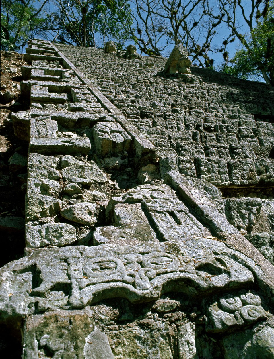 Kilátás a hieroglif lépcsőre, i.sz. 743 alkotó: Mayan