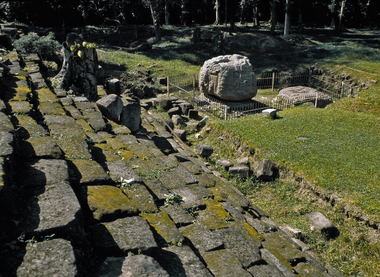 Zoomorf oltár P alkotó: Mayan