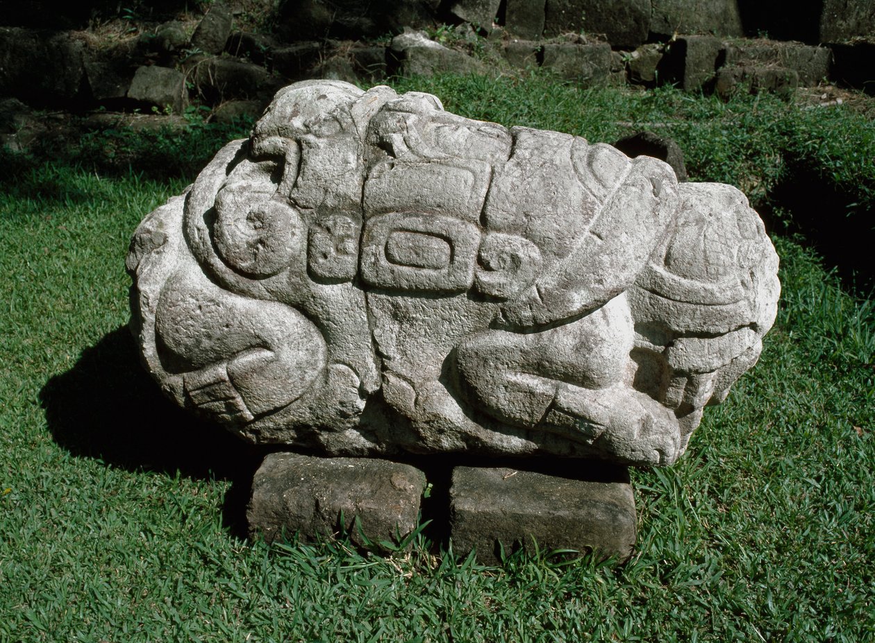 Egy gres-tömbbe faragott zoomorf oltár alkotó: Mayan