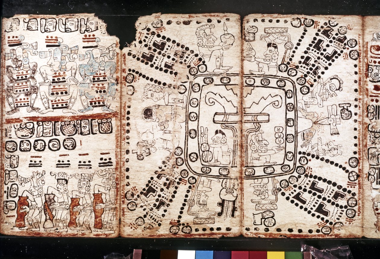MAYA CIVILIZÁCIÓ: Codex Tro-Cortesiano, 15. század közepe (kéregnövényrost) alkotó: Mayan Mayan