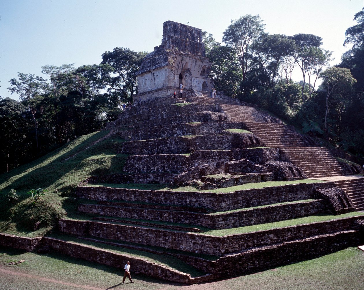 Kolumbiai előtti civilizáció: kilátás Palenque helyére a Chiapas klasszikus maja korszakában alkotó: Mayan Mayan