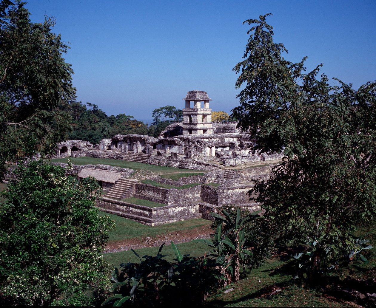Kolumbiai előtti civilizáció: kilátás Palenque helyére a Chiapas klasszikus maja korszakában alkotó: Mayan Mayan