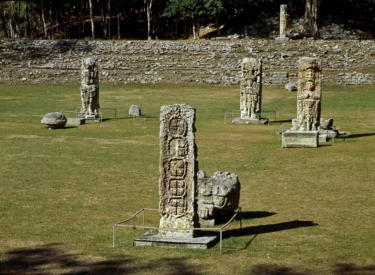 A dísztér maradványai 4-10 alkotó: Mayan Mayan