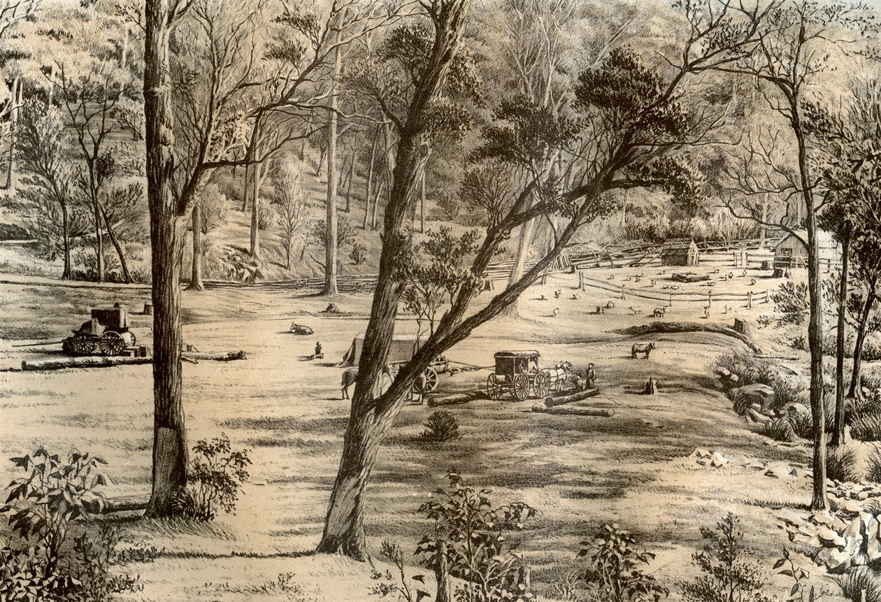Szabad választó kunyhó, Ausztrália, 1879 alkotó: McFarlane and Erskine
