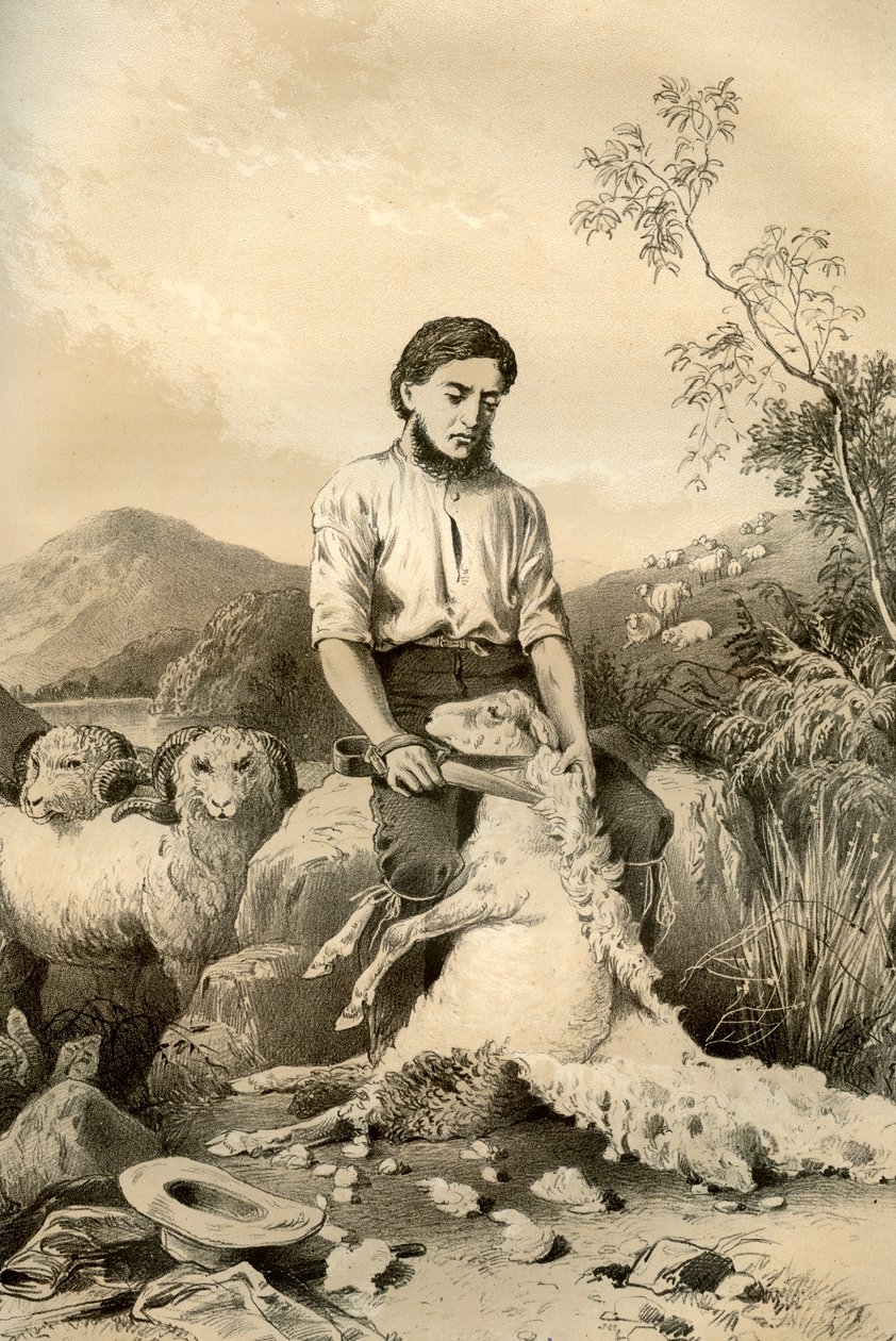 Birkanyírás, 1879 alkotó: McFarlane and Erskine